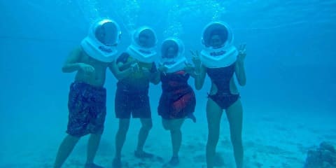 Halvdags privat havvandringseventyr fra Kendwa i Zanzibar (2026 - 2027)