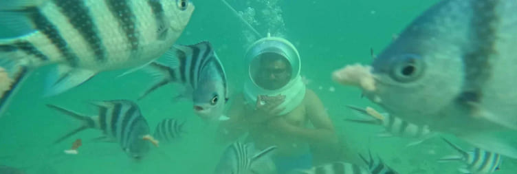 הרפתקאות הליכה בים