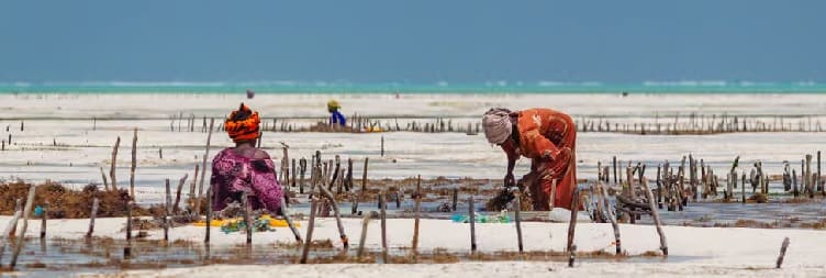 ޕަޖޭގައި ހުންނަ ސީވީޑް ސެންޓަރަށް ޒިޔާރަތްކުރުން