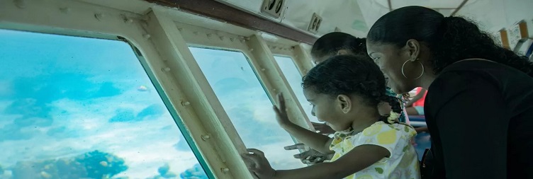 અર્ધ સબમરીન ક્રૂઝ ટૂર