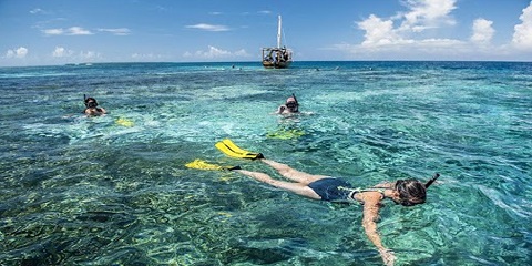 Snàmh Prìobhaideach leth-latha le Turas Tides ann am Paje, Zanzibar (2026 - 2027)