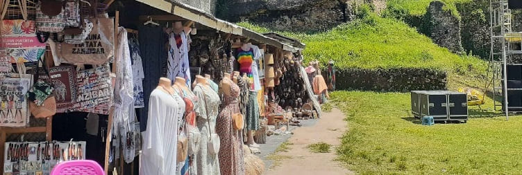 Spice Farm Tour, Stone Town Walking Tour, and Prison Island