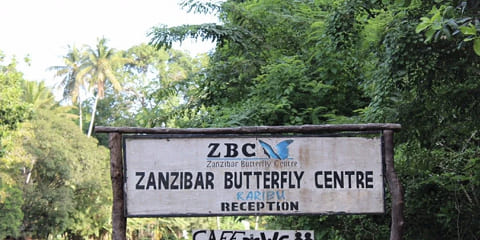 Duontaga Privata Zanzibara Papilio-Centro (Zbc) Turneo de Mtende en Zanzibaro (2026 - 2027)