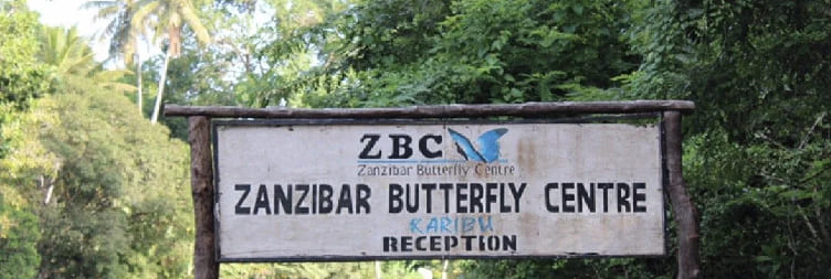 Обилазак Занзибарског центра лептира (ЗБЦ).