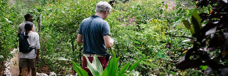 זאַנזיבאַר באַטערפליי צענטער (זבק) רייַזע